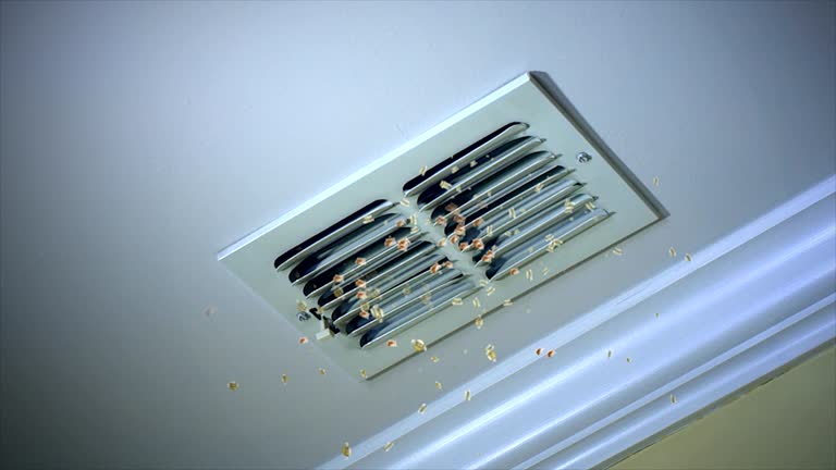 Best Air Duct Cleaning Near Me  in Bellevue, NE