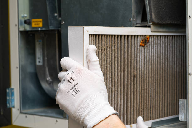 Best Ductwork Cleaning Services  in Bellevue, NE
