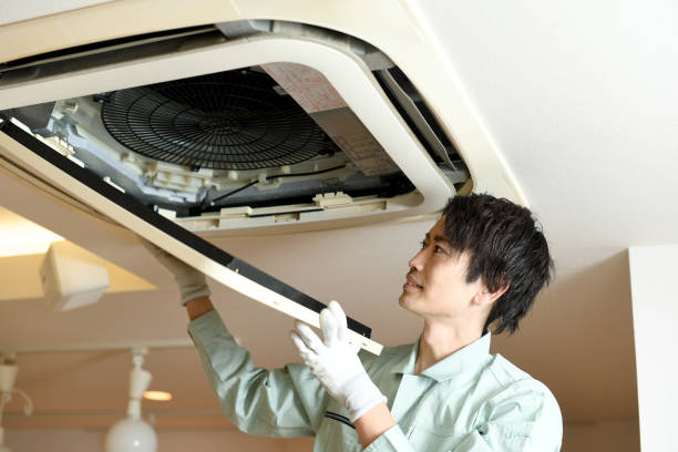 Best Air Vent Cleaning Services  in Bellevue, NE